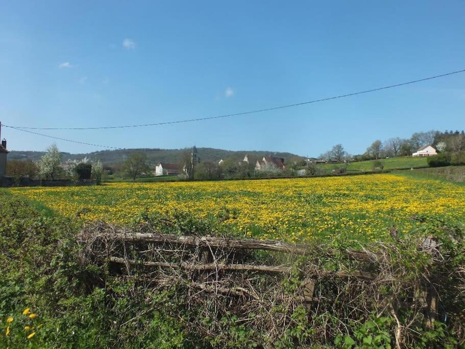 Gite Les Arcades Collonges-en Charollais Zewnętrze zdjęcie